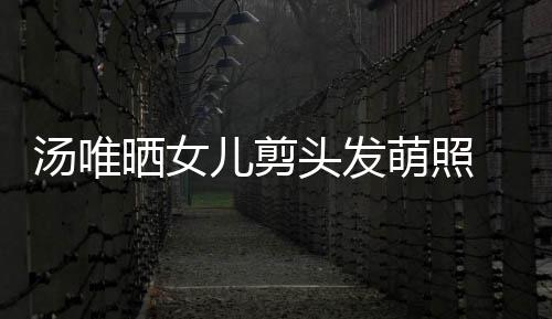 儿剪儿将学萌照在中 此汤唯头发国上晒女示女前表
