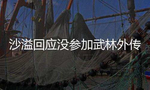 没参武晚年重传重传回应林外林外方卫沙溢十五视春加武聚 聚东