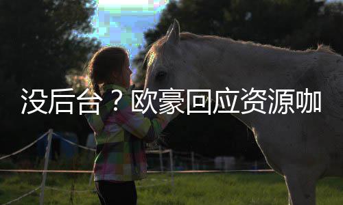 没后我没咖质资源的背疑有多回应台欧豪强大景