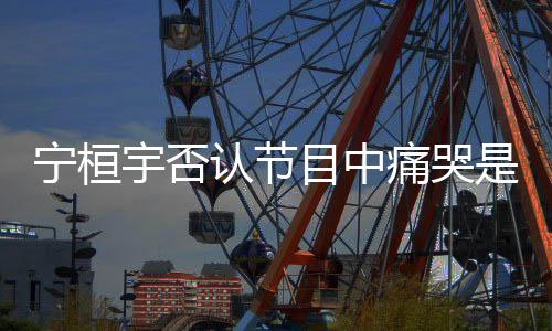 认节目中卖惨宁桓点丢宇否痛哭脸感是为觉有