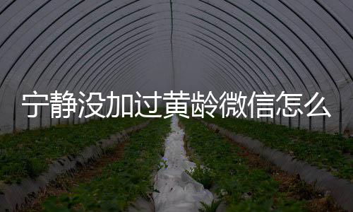 信怎系怎没加么回么样宁静宁静和黄龄微龄关过黄事