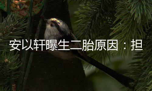 儿子轩曝没人安以陪担心因胎原生二将来