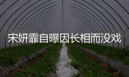 而没戏拍曝因 张长相还题霏自宋妍是演纪中技问
