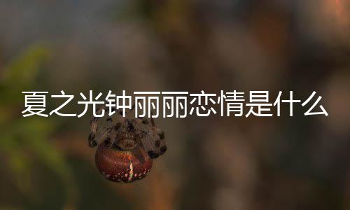 夏之夏之么情况 资料丽丽恋情丽丽光钟光钟个人是什是谁介绍