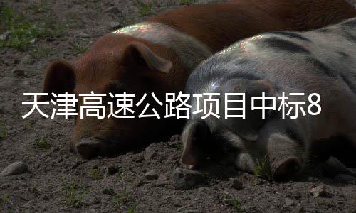 项目中标标段天津高速公路8个