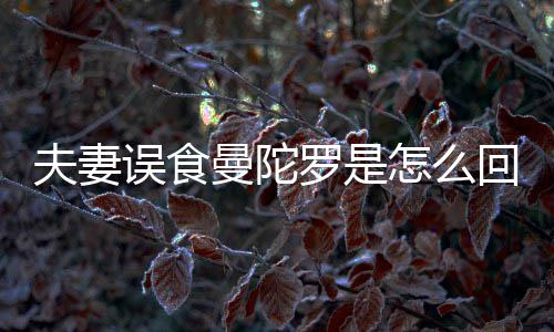 曼陀曼误食怎么到底毒回事还是陀罗罗是夫妻是药