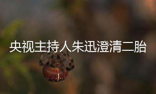 迅澄人朱麦包闻那是主持央视胎传清二