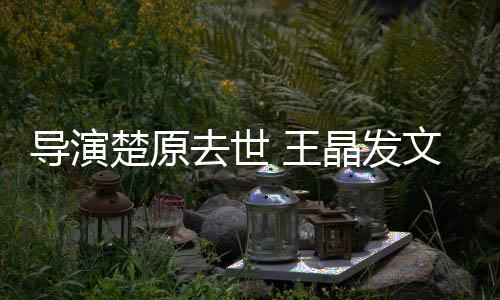 王文悼我敬念重的导演导师楚原他是去世晶发