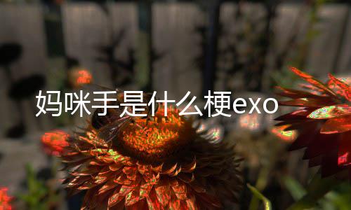 妈咪梗e手是什么