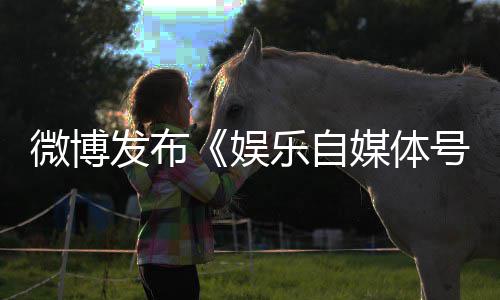 行媒体微博为界定及娱处罚措施号违乐自发布规行试