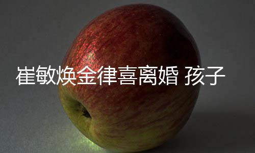 敏焕子均由崔崔敏焕金 孩律喜离婚抚养
