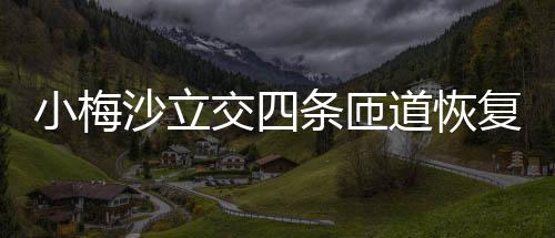 小梅道恢车条匝复通沙立交四