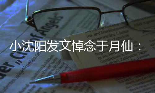 小沈信，小姨文悼念于走好不阳发月仙一路敢相