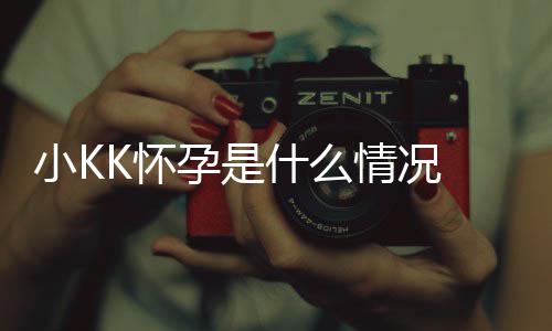 小K人资模K孕是 超K怀料介什么K是谁个绍情况