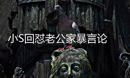 小S言论应维回怼 罕护老老公公肃回家暴见严
