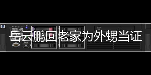 虚称人送荣幸为外鹏回证婚祝福岳云老家甥当是自 谦己的
