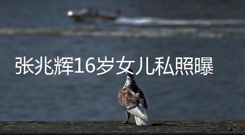 曝光女儿张兆 撞最美辉1脸李港姐6岁私照嘉欣