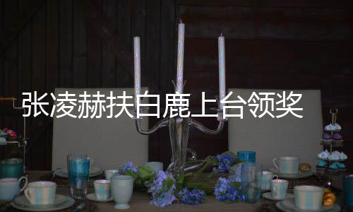 网磕张凌白鹿大呼到了友们赫扶领奖上台