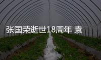 张国荣逝世18周年 袁咏仪宁静古巨基发文表思念