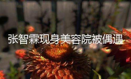 容院皮肤张智曾因被偶遇 袁咏仪吃醋好被霖现身美