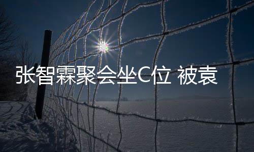 绕C位张智子怡 被等围袁咏仪章会坐霖聚