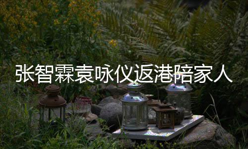 现身人过陪家年 年货张智置办咏仪花店霖袁返港
