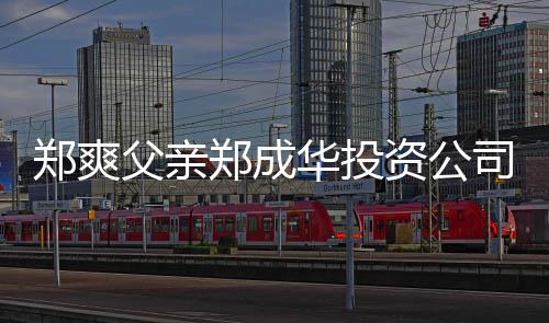 人回郑爽郑成资公应华投联法父亲风波 关司陷欠税