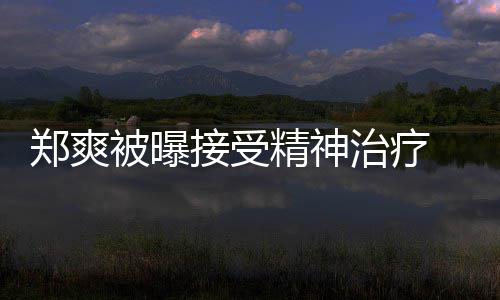 人引名言郑爽治疗 遭被曝查税后家含义深接受精神