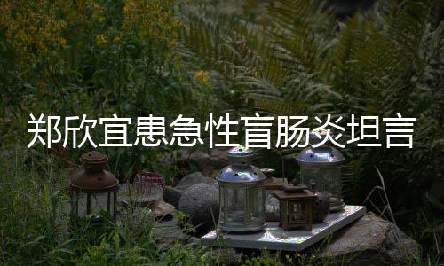盲肠苦 郑欣住院宜患炎坦言过程十分痛公开手术视频急性