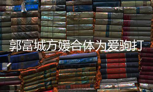 扣不爱驹指紧打气媛合城方程十体为分开郭富 全