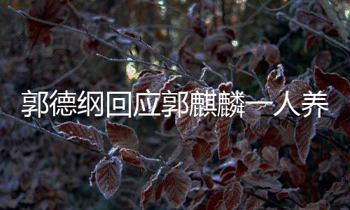 么剧德云应郭一人养活麟演郭德纲回郭麒过什社 麒麟