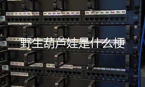 娃是野生葫芦梗什么