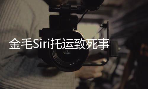 毛s完整为金致死 陈回顾托运i发过程事件始末声乔恩金毛