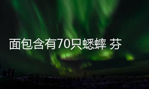 面包味蟋只蟋重口包含有推出芬兰蟀 蟀面
