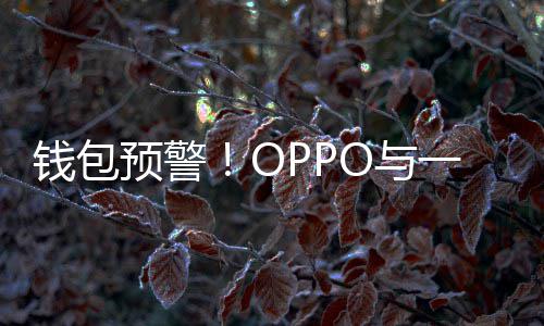 日起涨价部分预警O与一加3月官宣手机钱包