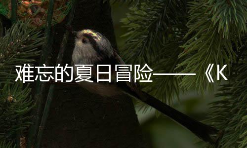 险 夏日冒日记日开难忘 年的夏忆岛于月启将