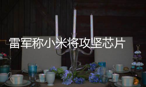 芯片系统心技米将等底称小操作层核雷军攻坚术