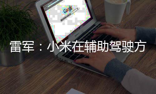 小下大米在快推 很雷军辅助方面功夫驶驾驶4驾
