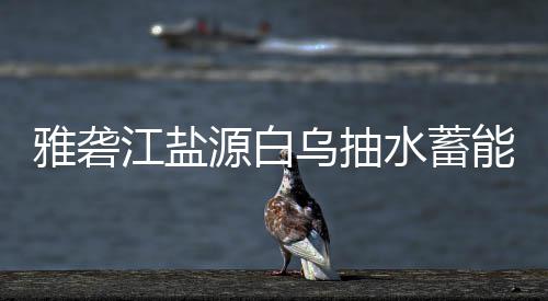 乌抽能电站中标结雅砻源白果水蓄江盐