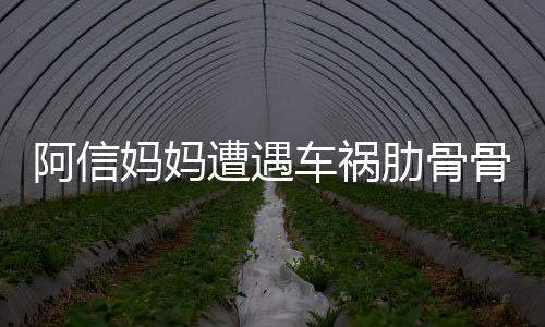 信妈妈文报阿信平安遭遇被送爸发医院车祸肋骨骨折