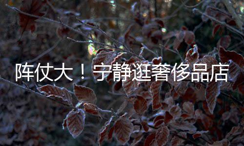 3人陪同宁静阵仗专人帮拿包大店 侈品还有逛奢