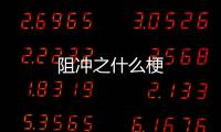 阻冲之什么梗