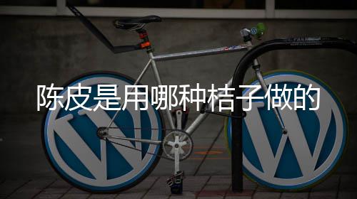 哪种做的陈皮是用桔子