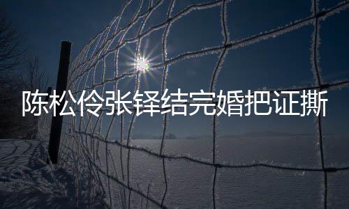 完婚把证办了铎结引热议 应称已补陈松陈松伶张伶回撕了
