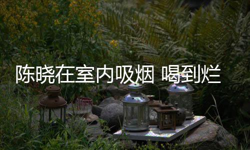 如泥内吸在室被人烟 陈晓喝到烂醉架走