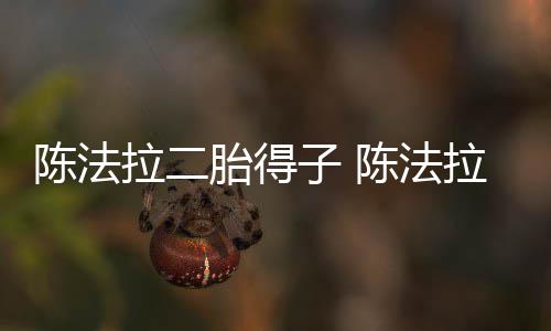 子 陈法陈法胎得拉二拉老公是谁