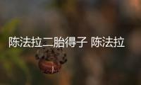 陈法拉二胎得子 陈法拉老公是谁？