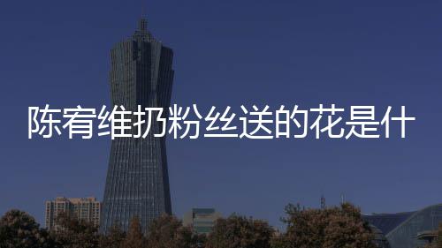 维扔宥维陈宥 陈花是合的粉丝个组送的什么是哪情况