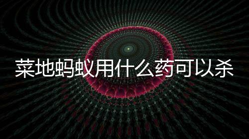 蚂蚁么药可以用什菜地杀死