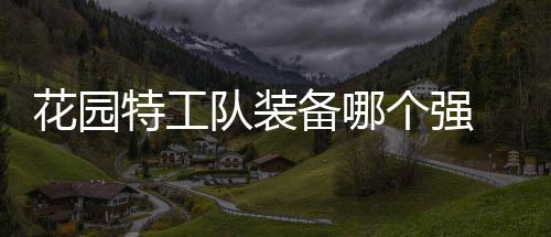 信息装备备哪队装园特花园 花特工分享个强工队